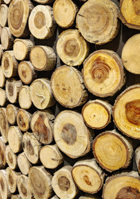 Wooden Abstract